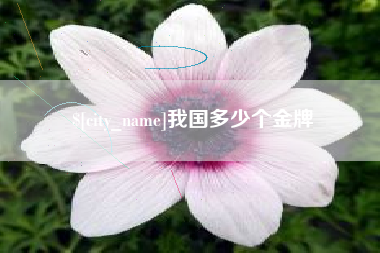 临邑我国多少个金牌