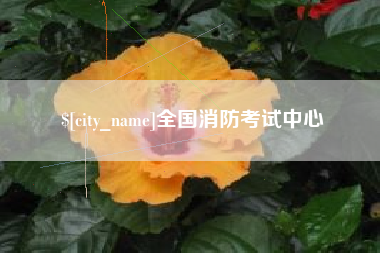 临邑全国消防考试中心