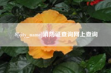 临邑消防证查询网上查询