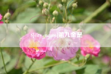 临邑第九金是