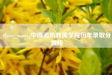 临邑中国消防救援学院历年录取分数线