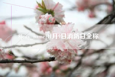 临邑11月9日消防日全称