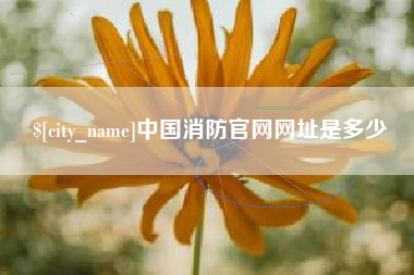 临邑中国消防官网网址是多少