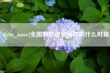 临邑全国消防日是每年的什么时候
