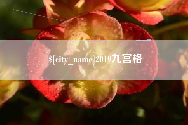 临邑2019九宫格