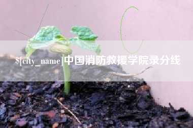 临邑中国消防救援学院录分线