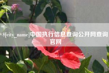 临邑中国执行信息查询公开网查询官网