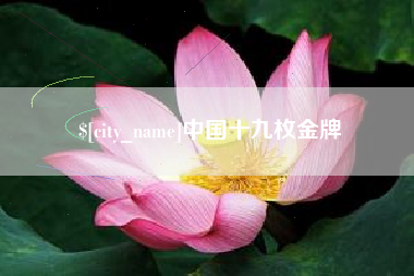 临邑中国十九枚金牌