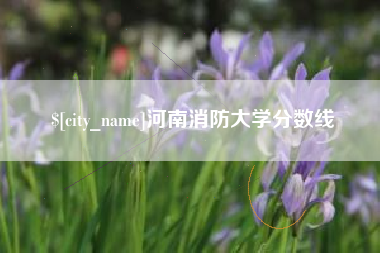 临邑河南消防大学分数线