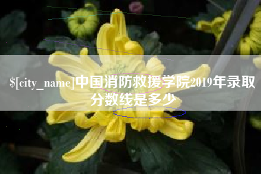临邑中国消防救援学院2019年录取分数线是多少