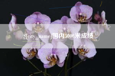 临邑国内5000米成绩