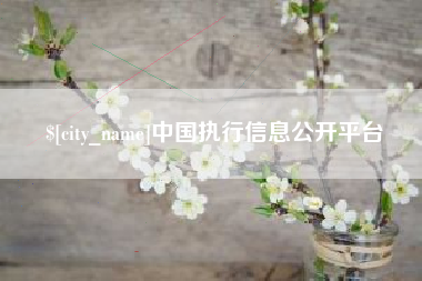 临邑中国执行信息公开平台