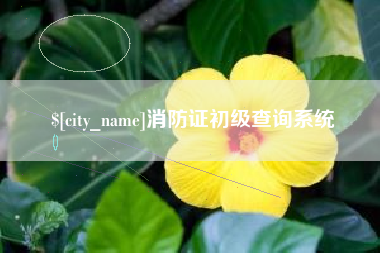临邑消防证初级查询系统