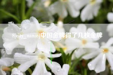 临邑中国金牌得了几枚金牌