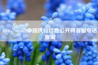 临邑中国执行信息公开网客服电话查询