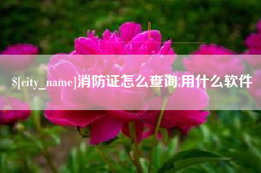 临邑消防证怎么查询,用什么软件