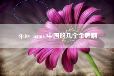 临邑中国的几个金牌啊