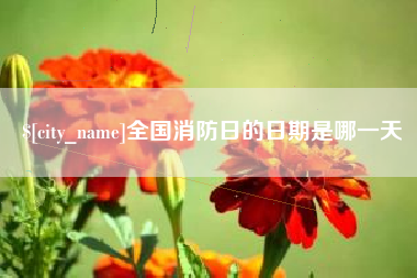 临邑全国消防日的日期是哪一天