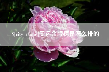 临邑奥运金牌榜是怎么排的