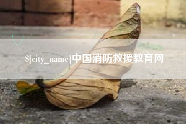 临邑中国消防救援教育网
