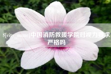 临邑中国消防救援学院对视力要求严格吗