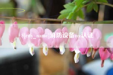 临邑消防设备ccc认证