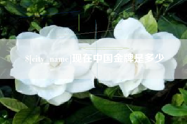 临邑现在中国金牌是多少