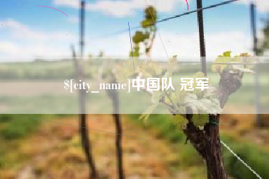 临邑中国队 冠军