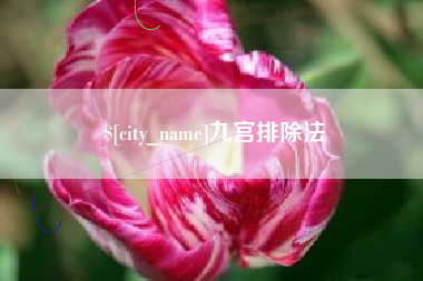 临邑九宫排除法