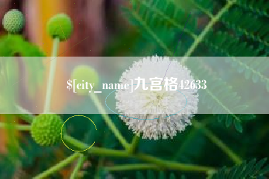 临邑九宫格42633