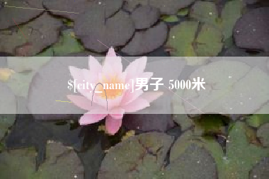 临邑男子 5000米