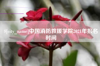 临邑中国消防救援学院2021年报名时间