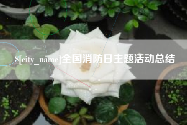 临邑全国消防日主题活动总结
