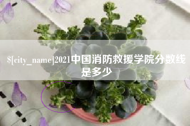 临邑2021中国消防救援学院分数线是多少