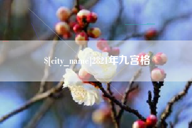 临邑2821年九宫格