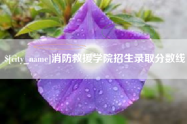 临邑消防救援学院招生录取分数线