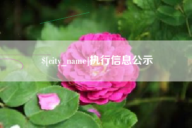 临邑执行信息公示