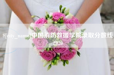 临邑中国消防救援学院录取分数线2020