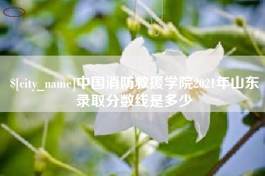 临邑中国消防救援学院2021年山东录取分数线是多少