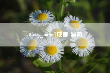 临邑成都 消防