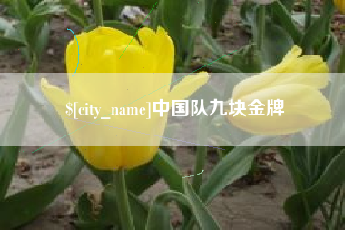 临邑中国队九块金牌