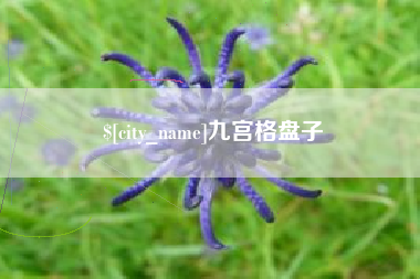 临邑九宫格盘子