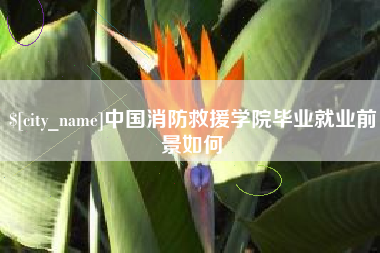 临邑中国消防救援学院毕业就业前景如何