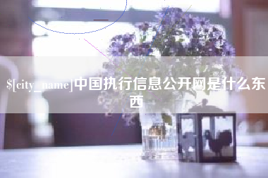 临邑中国执行信息公开网是什么东西