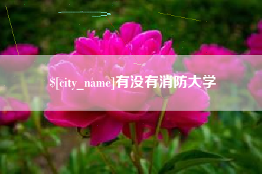 临邑有没有消防大学