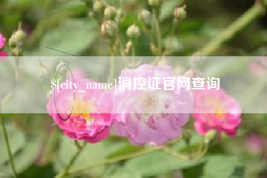 临邑消控证官网查询