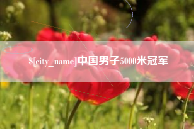 临邑中国男子5000米冠军