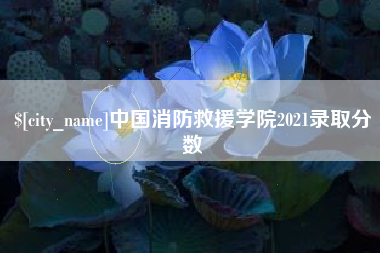 临邑中国消防救援学院2021录取分数