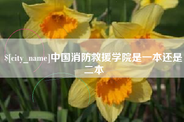 临邑中国消防救援学院是一本还是二本
