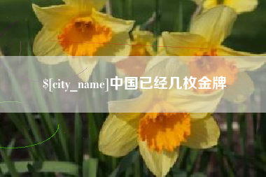 临邑中国已经几枚金牌